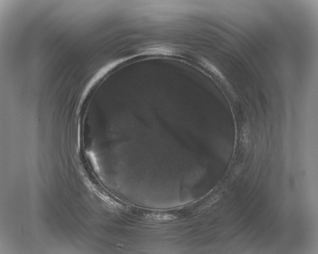 X0000078861323200612041922