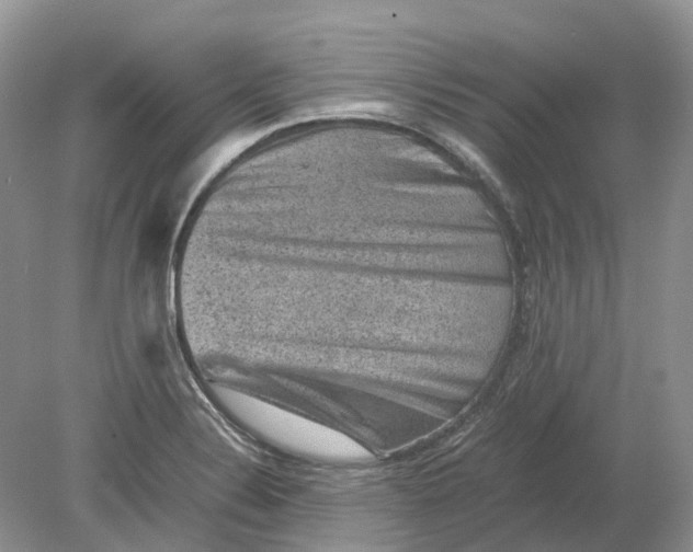 X0000078861324200612041922