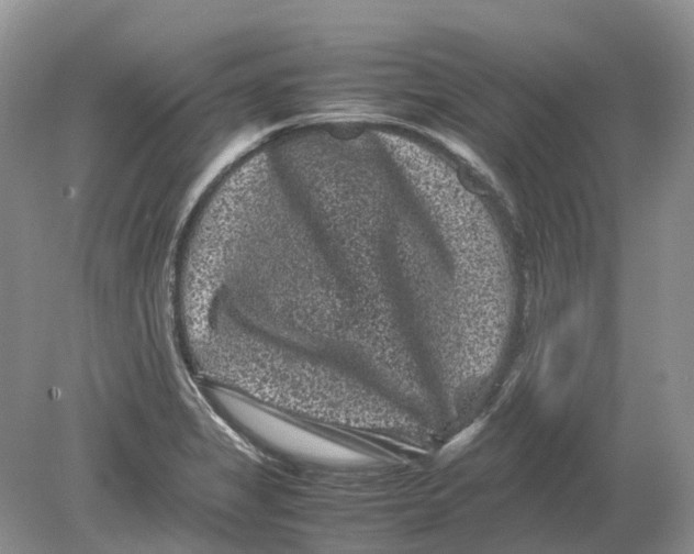 X0000078861325200612041922