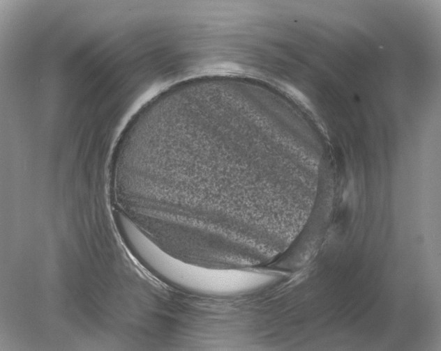 X0000078861326200612041922