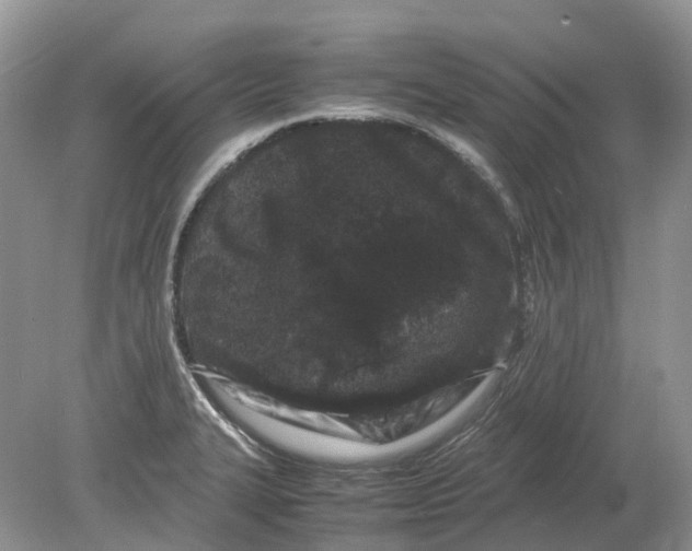 X0000078861327200612041922