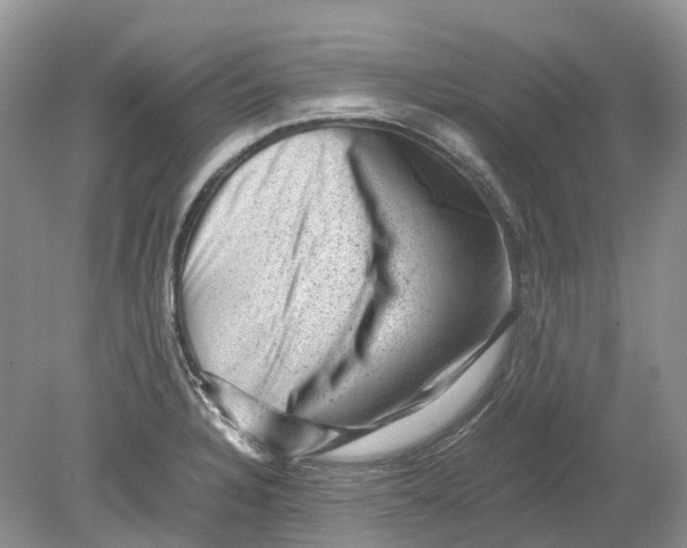 X0000078861328200612041922