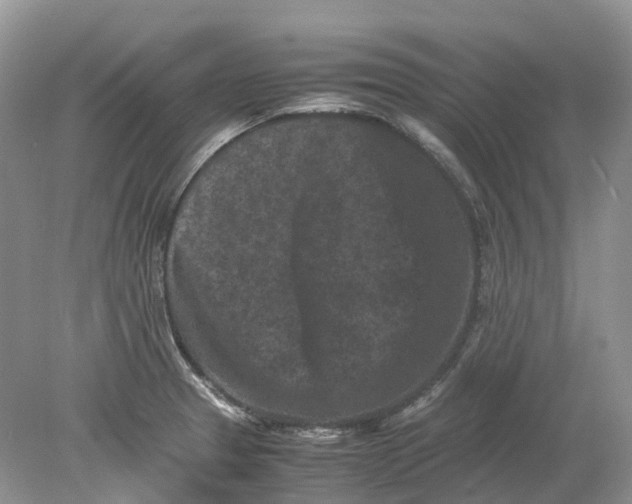 X0000078861329200612041922