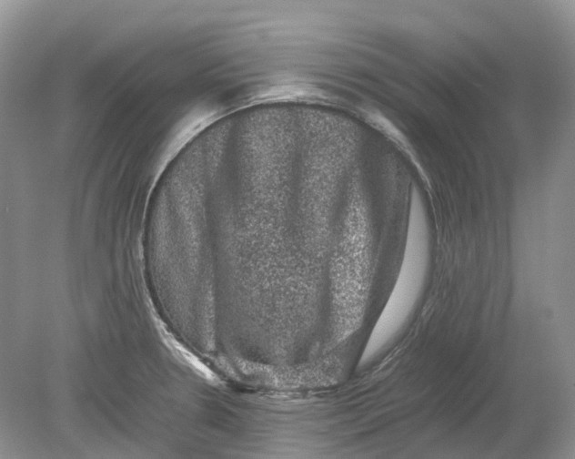 X0000078861330200612041922