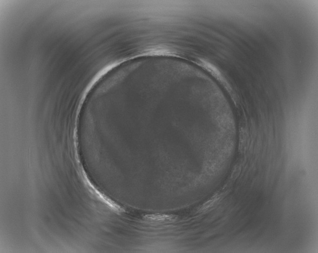 X0000078861331200612041922