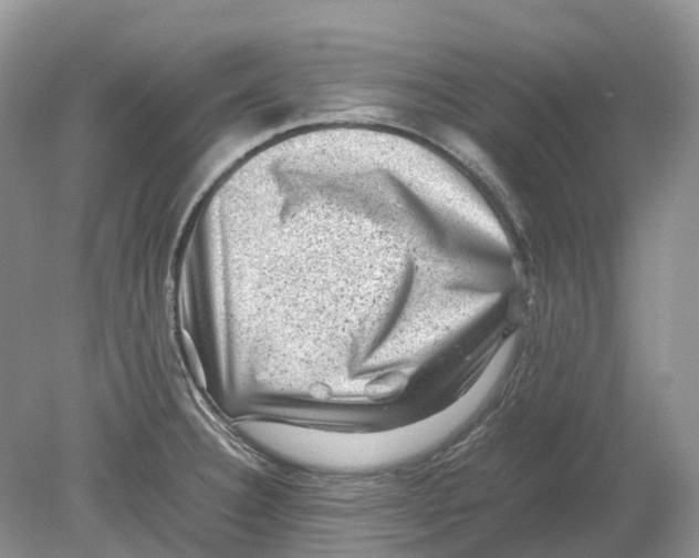 X0000078861332200612041922