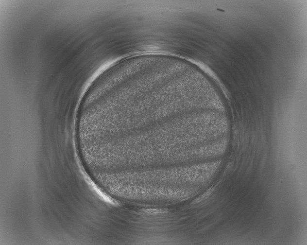 X0000078861333200612041922