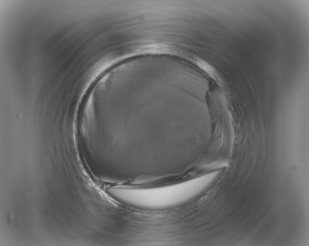 X0000078861334200612041922