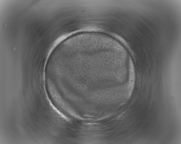 X0000078861335200612041922