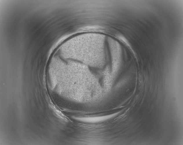 X0000078861336200612041922