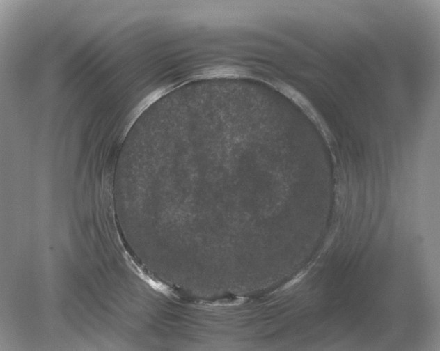 X0000078861337200612041922