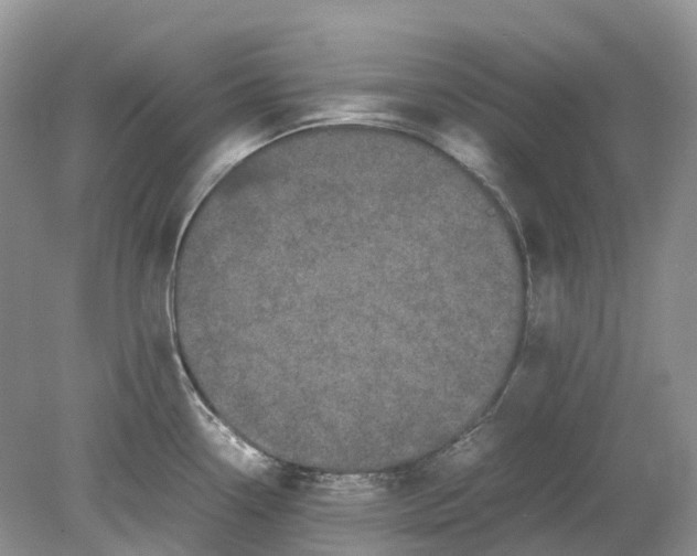 X0000078861338200612041922