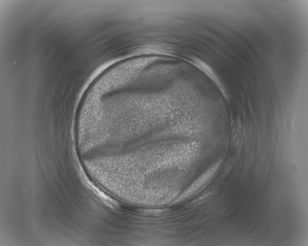 X0000078861339200612041922