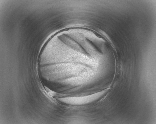 X0000078861340200612041922