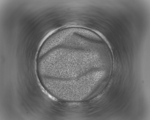 X0000078861341200612041922