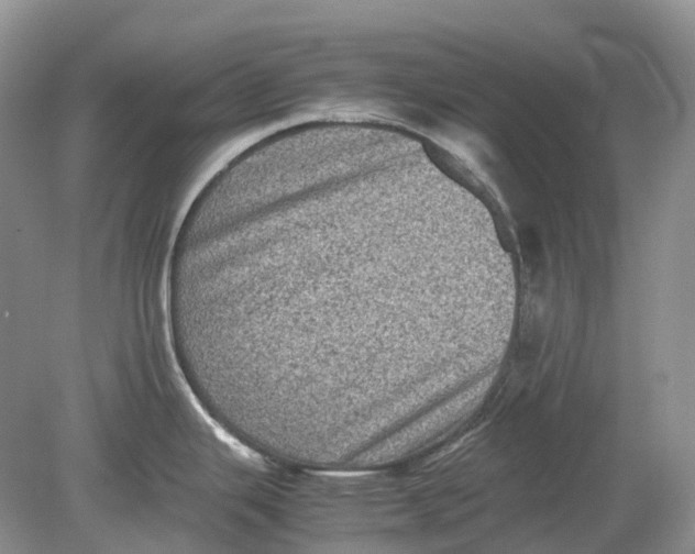 X0000078861343200612041922