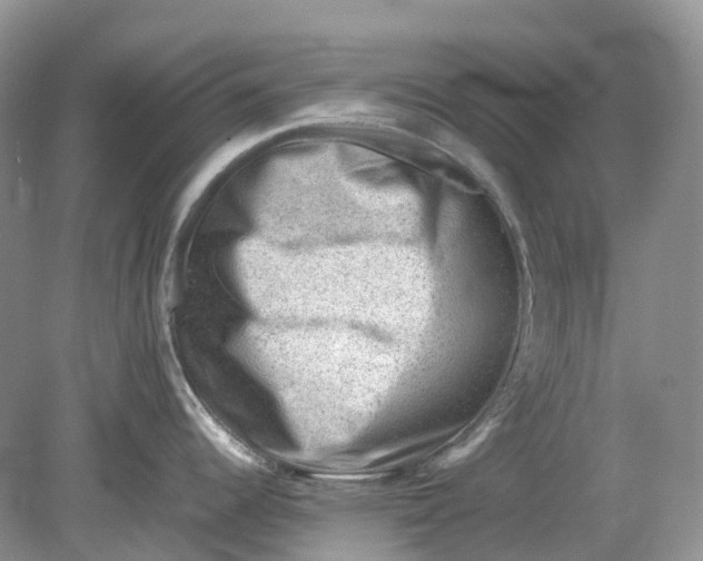 X0000078861344200612041922