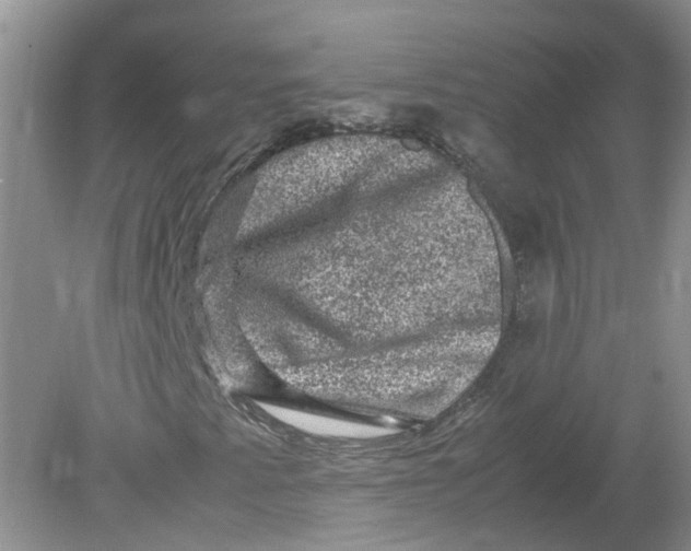 X0000078861345200612041921