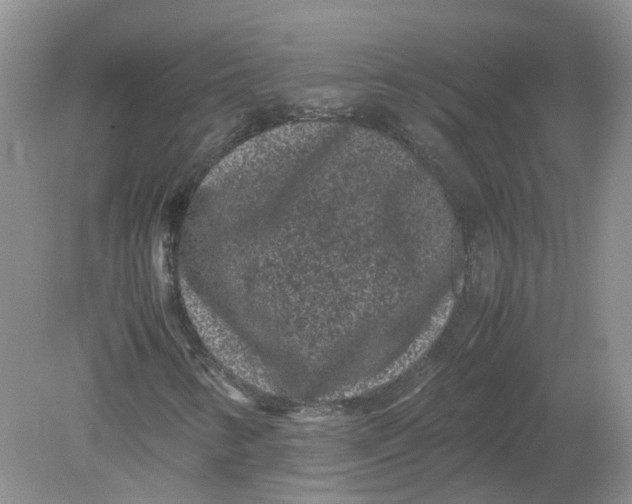 X0000078861346200612041921