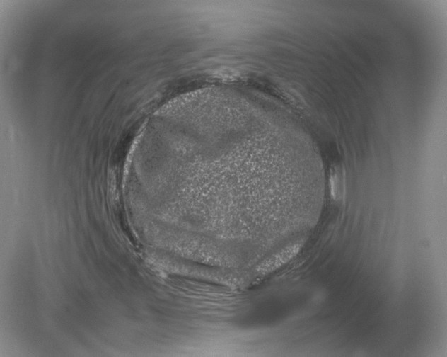 X0000078861347200612041921