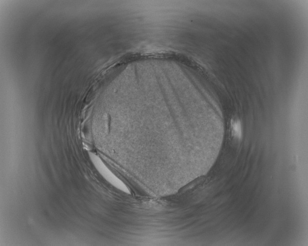 X0000078861348200612041921