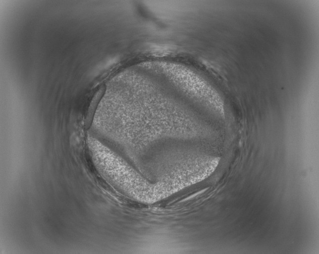 X0000078861349200612041921