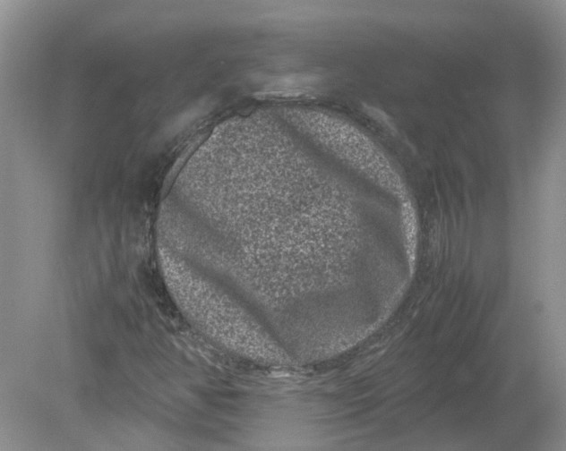 X0000078861350200612041921