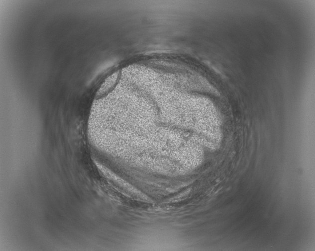 X0000078861351200612041921