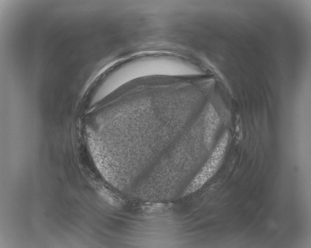 X0000078861352200612041921