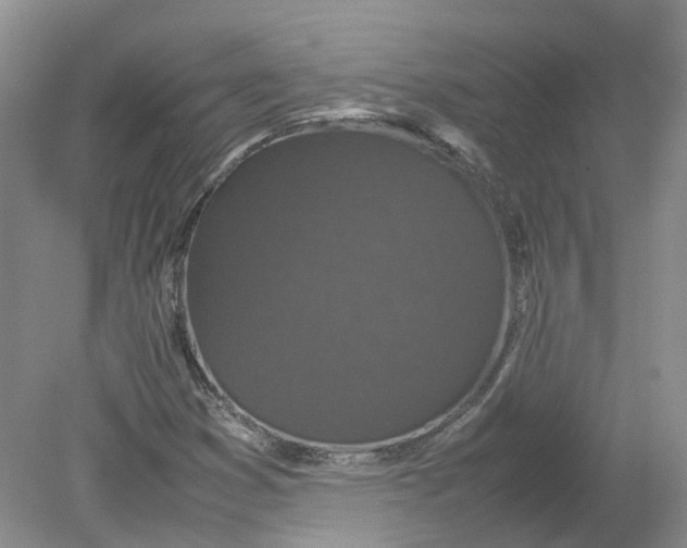 X0000078861353200612041921