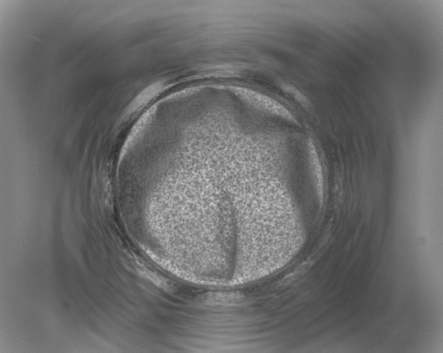 X0000078861354200612041921