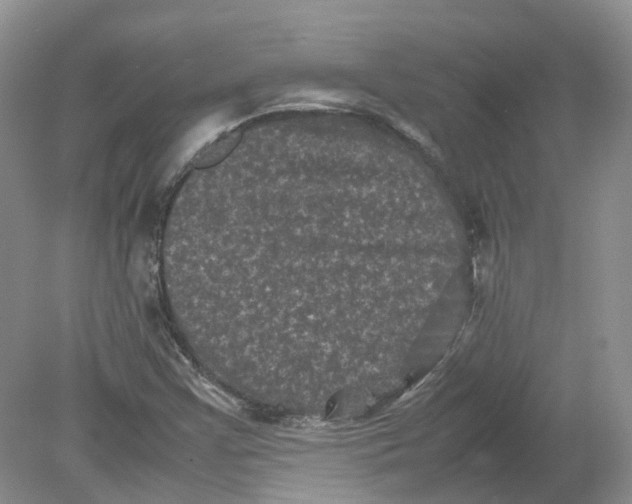 X0000078861355200612041921