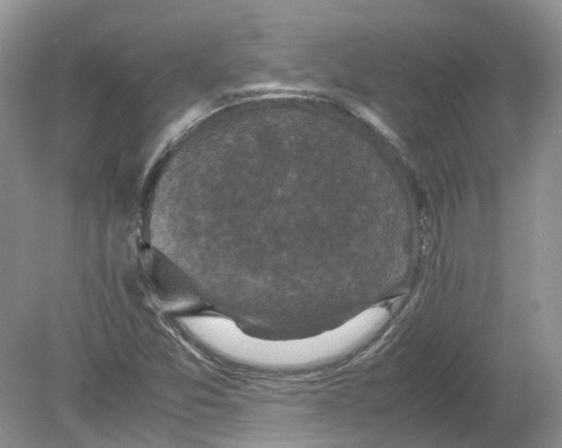 X0000078861357200612041921