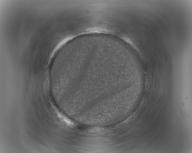 X0000078861358200612041921