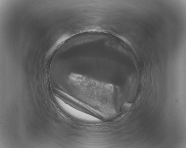 X0000078861359200612041921