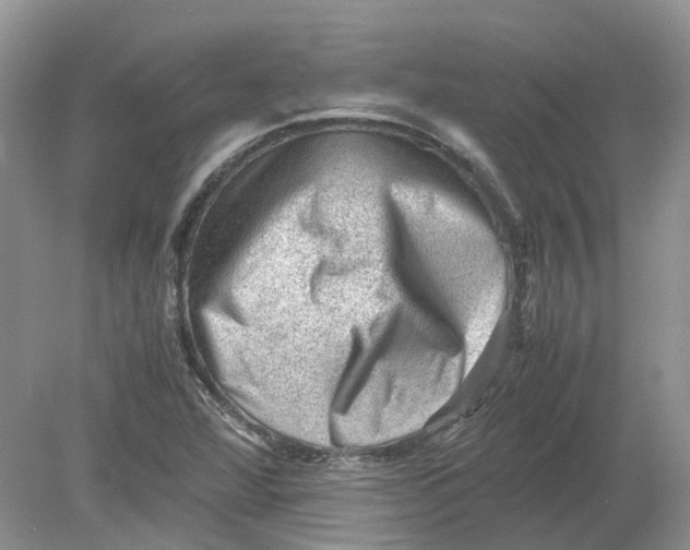 X0000078861360200612041921