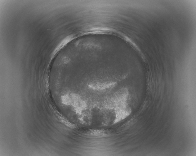 X0000078861362200612041921