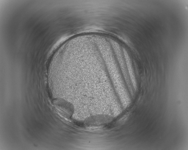 X0000078861363200612041921