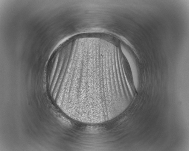 X0000078861364200612041921