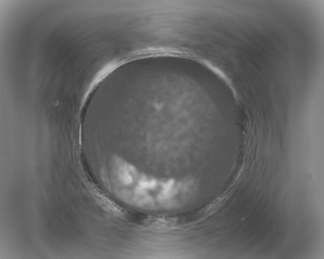 X0000078861365200612041921