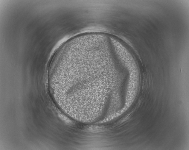 X0000078861366200612041921