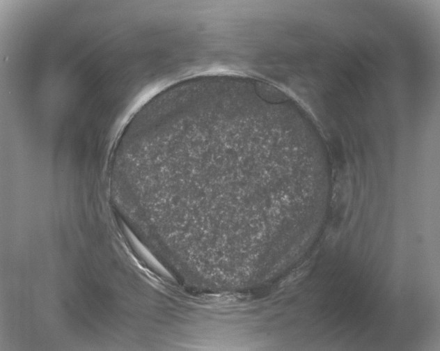 X0000078861367200612041921