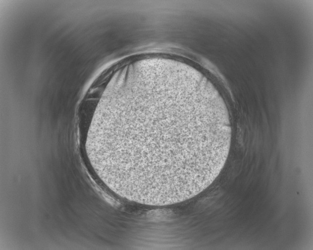 X0000078861368200612041921