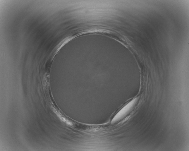 X0000078861369200612041921