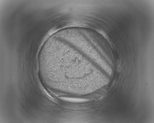 X0000078861371200612041921