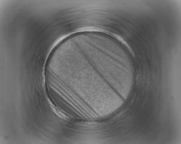 X0000078861372200612041921