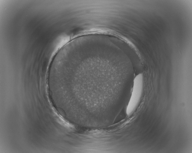 X0000078861373200612041921