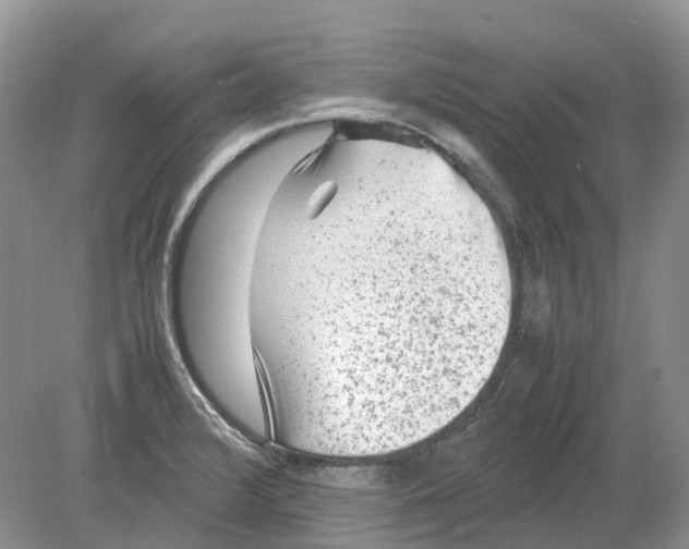 X0000078861376200612041921