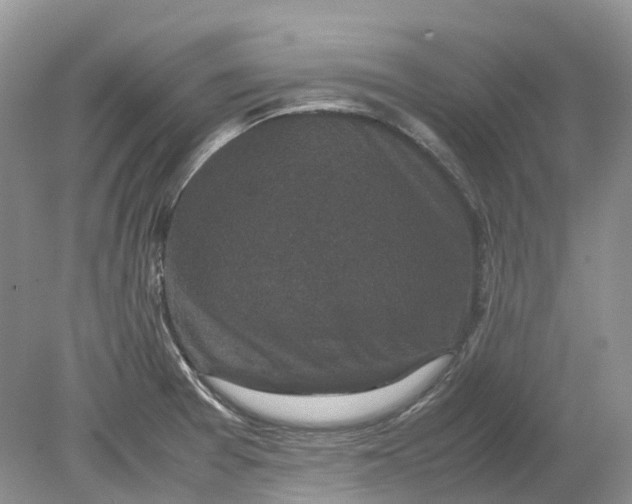 X0000078861377200612041921