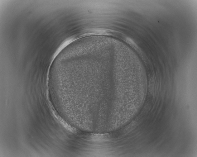 X0000078861378200612041921